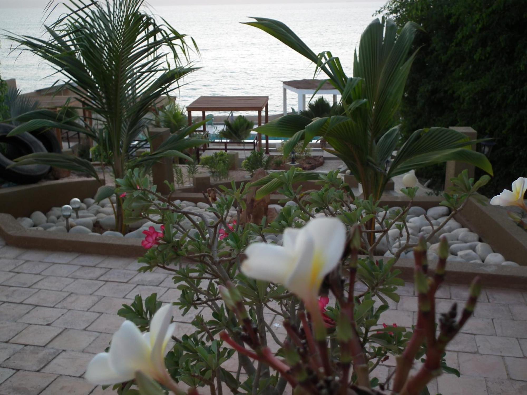 טובב דיאלו La Villa D'O מראה חיצוני תמונה